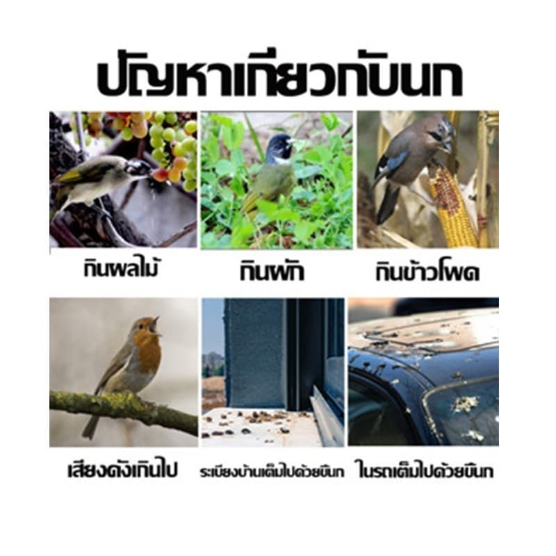 CODไล่นก 10000เมตรไม่มีนก ก้อนไล่นกพิราบ ที่ไล่นกพิราบ ก้อนไล่นก การกำจัดที่มีประสิทธิภาพและยาวนาน ใช้ที่บ้านได้ รูปที่ 7