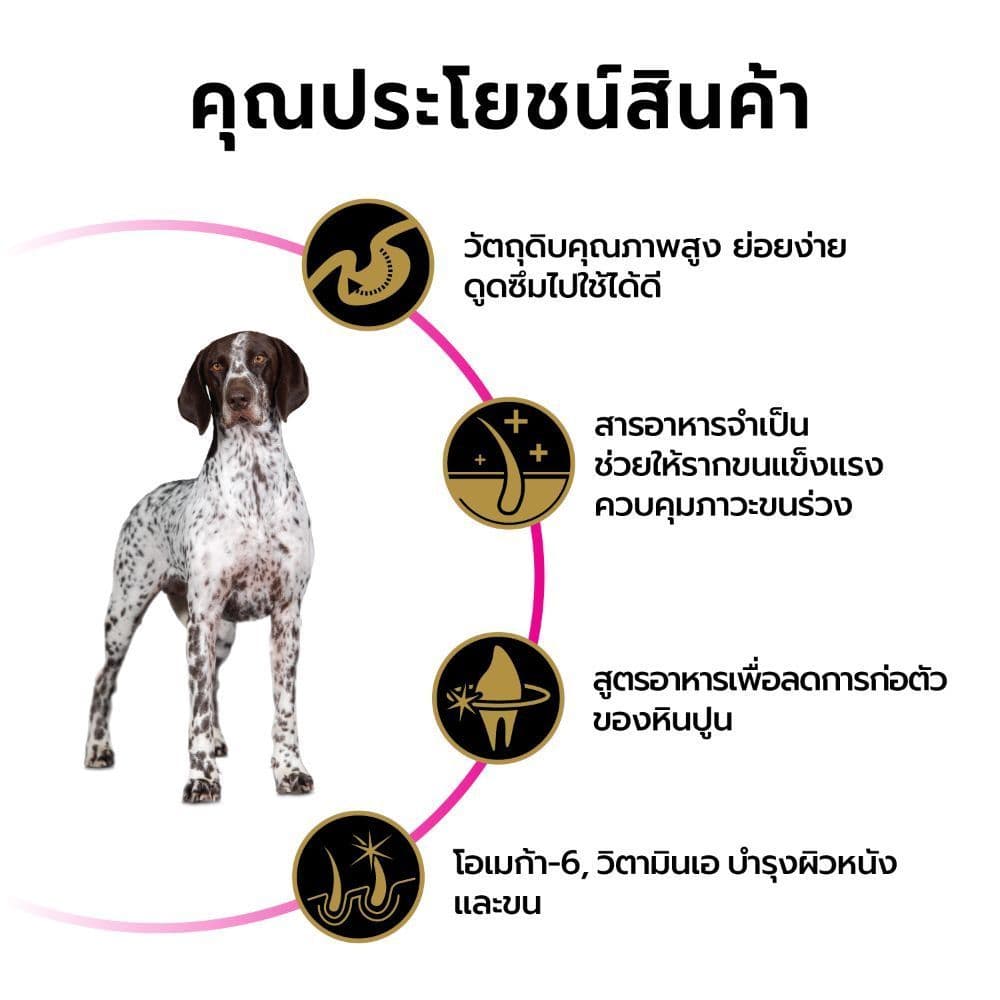 Purina PRO PLAN Dog อาหารสุนัข สุนัขโต แพ้ง่าย สูตร Sensitive Skin and Stomach รูปที่ 3