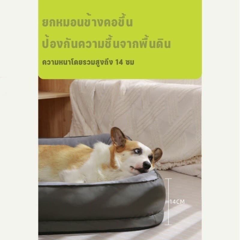 ที่นอนหมา ที่นอนหมาใหญ่ ที่นอนแมว กันชื้น หน่วยความจำฟองน้ำ นุ่ม ทนต่อการฉีกขาด 3สีให้เลือก บ้านหมา รูปที่ 5