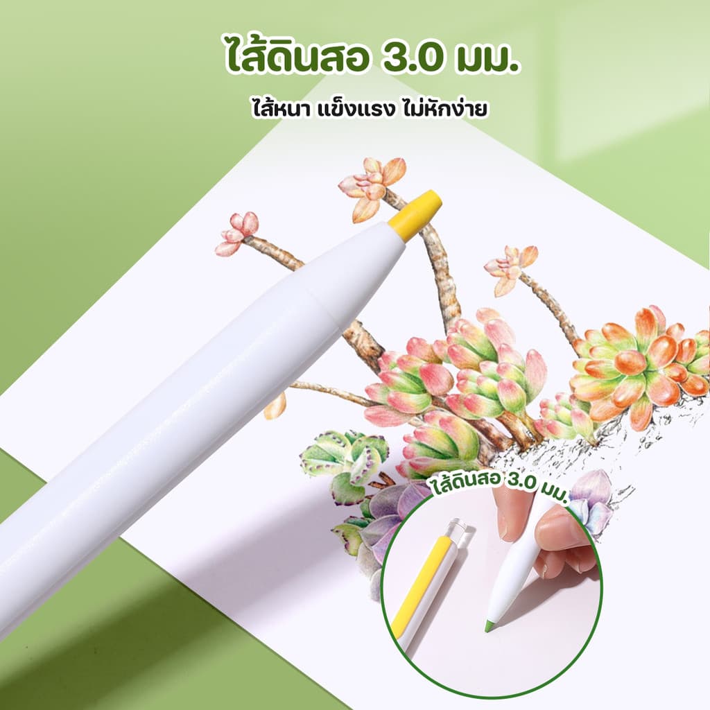 ohayo สีไม้ สามารถลบได้ ดินสอสี สีเทียน ดินสอสีศิลปะ erasable colour pencil 12 สี / 24 สี / 36 สี / 48 สี อุปกรณ์วาดรูป รูปที่ 2
