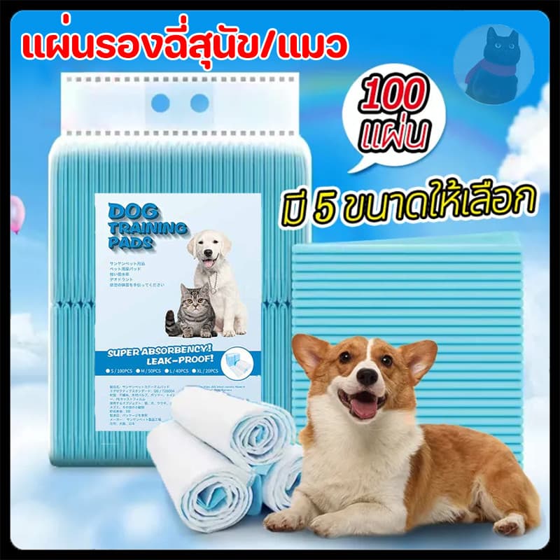 การจัดส่งที่รวดเร็ว!!แผ่นรองฉี่ แผ่นรองฉี่สุนัข ช่วยฝึกขับถ่าย ซึมซับได้ดี ต่อต้านแบคทีเรีย กักเก็บกลิ่น