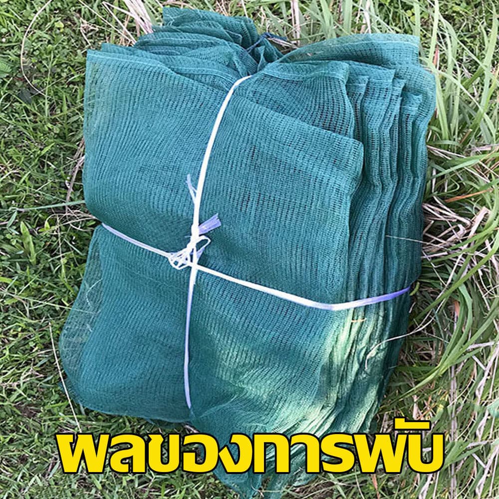 Towater ดักปลา ที่จับปลา ตุ้มดักกุ้งฝอย 8 ที่ดักปลา ดักกุ้ง ปลาเข้าง่าย โต่ง พับเก็บง่าย งานดี สะดวก ใช้งานง่าย รูปที่ 2