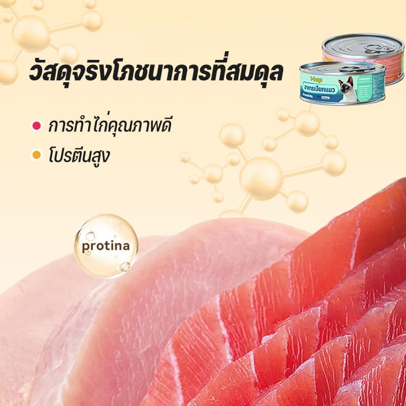 อาหารกระป๋องสำหรับแมว สูตร Complete and Balance ขนาด 80g อาหารเปียกแมว.วันที่ผลิตสด รูปที่ 4