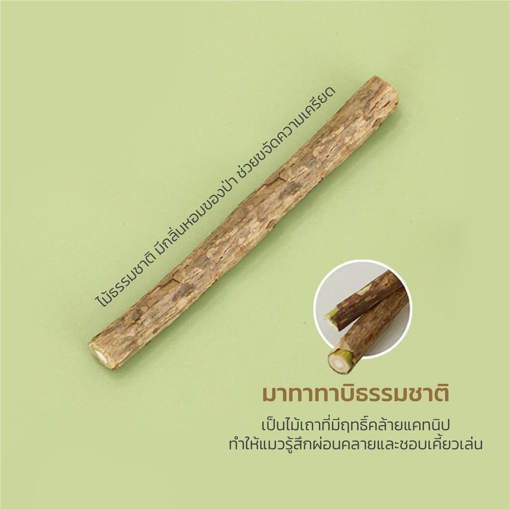Doge&Orange ไม้มาทาทาบิ ขัดฟันแมว ของเล่นเคี้ยวขัดฟัน รูปทรงต้นหอมขึ้นฉ่าย มีกระดิ่งในตัว กลิ่นหอมสดชื่น PU202 รูปที่ 3