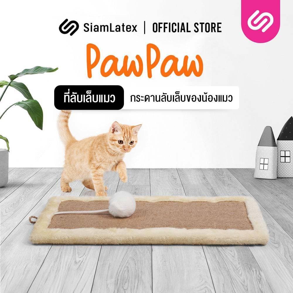 SiamLatex ที่ลับเล็บแมว รุ่น PawPaw ที่ฝนเล็บแมว กระดานลับเล็บแมว ช่วยลับเล็บน้องแมว รูปที่ 1