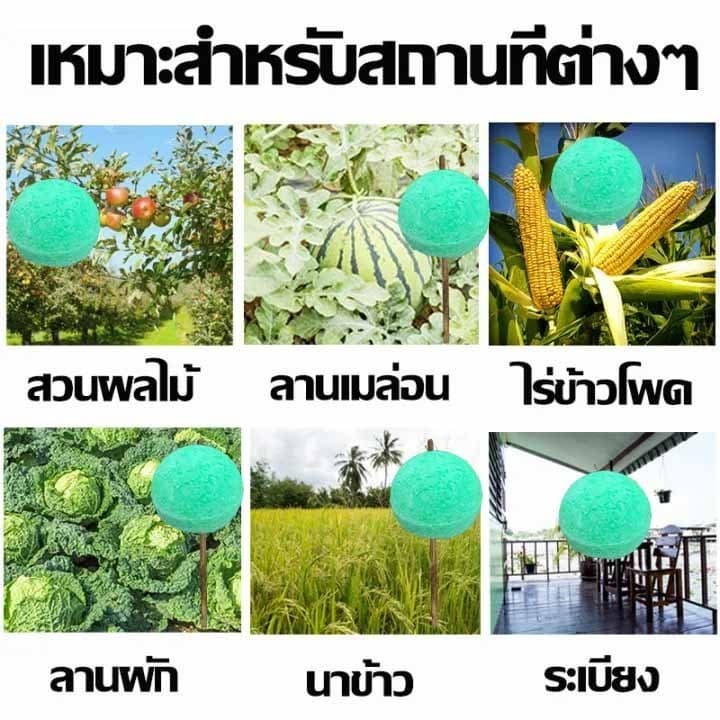 CODไล่นก 10000เมตรไม่มีนก ก้อนไล่นกพิราบ ที่ไล่นกพิราบ ก้อนไล่นก การกำจัดที่มีประสิทธิภาพและยาวนาน ใช้ที่บ้านได้ รูปที่ 5