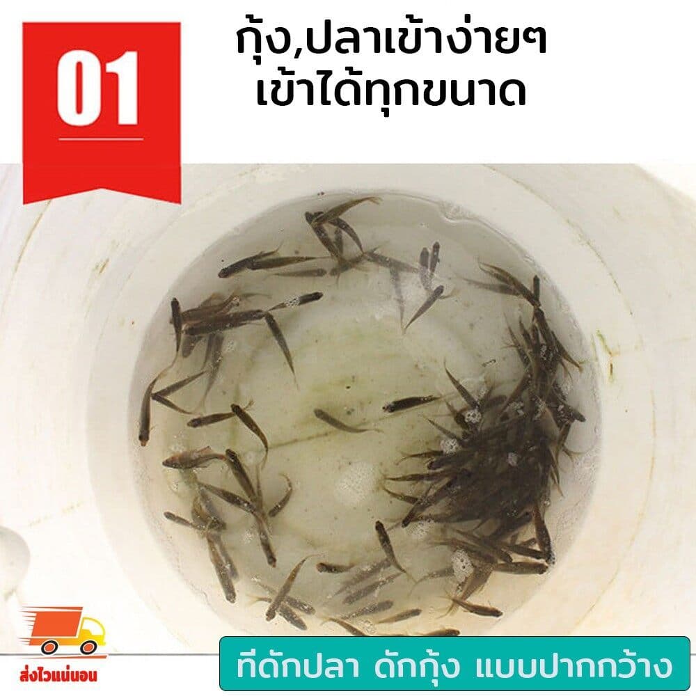Towater ดักปลา ที่จับปลา ตุ้มดักกุ้งฝอย 8 ที่ดักปลา ดักกุ้ง ปลาเข้าง่าย โต่ง พับเก็บง่าย งานดี สะดวก ใช้งานง่าย รูปที่ 4