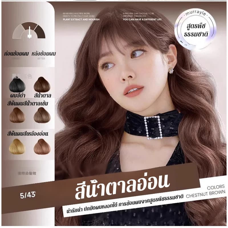 ครีมย้อมผมที่ไม่ระคายเคือง ครีมย้อมผมแบบหวีผม ย้อมผม ยั่งยืน ย้อมทันที ย้อมผมจากพืช ความงาม ปิดผมขาว ผมหงอก ย้อมผม รูปที่ 4