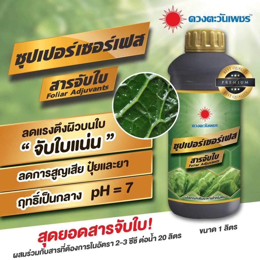สารจับใบ ซุปเปอร์เซอร์เฟส สารจับใบเข้มข้นพิเศษ ช่วยยึดเกาะใบ ยกลัง 12 ขวด #ดวงตะวันเพชร รูปที่ 3