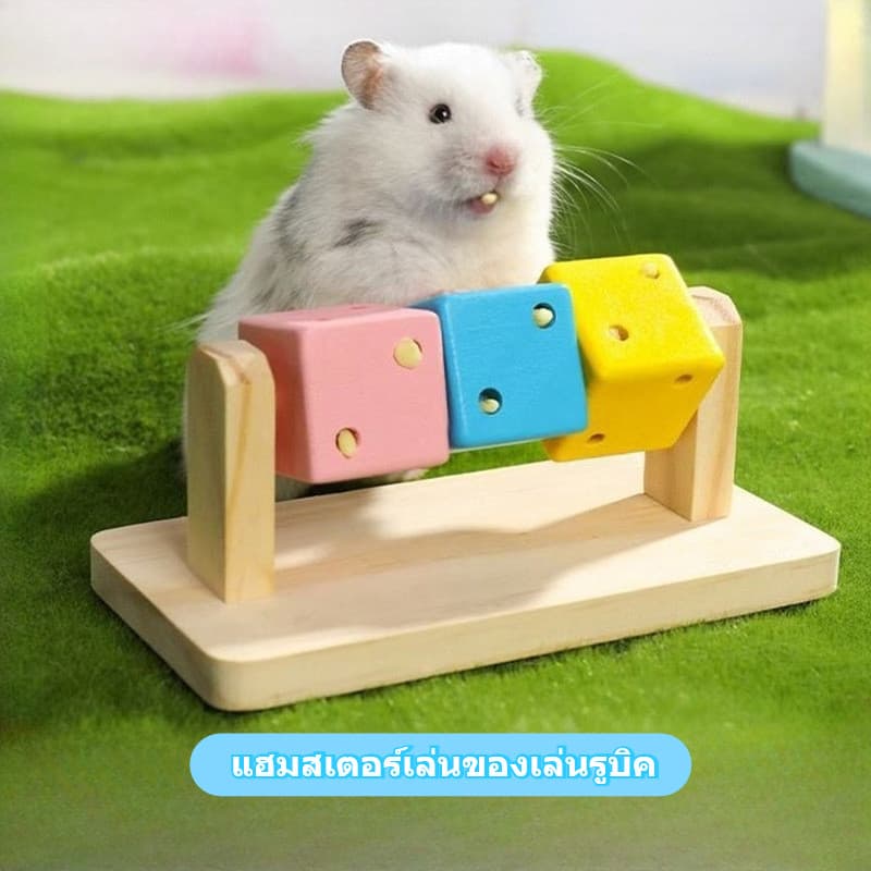 ของเล่นหนูแฮมสเตอร์ ลูกบาศก์รูบิกแสนสนุก ของเล่นดีเจเพื่อการผ่อนคลายและความบันเทิง ของเล่นเสริมการเรียนรู้ที่หลากหลายและสามารถเคี้ยวได้สำหรับหนูแฮมสเตอร์สีทองและหนูแฟนซี รูปที่ 1