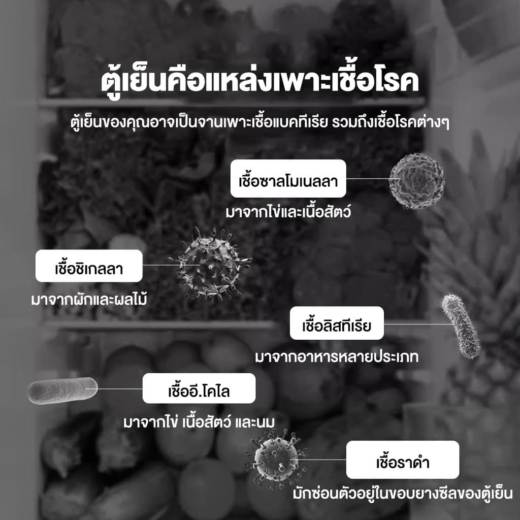 สเปรย์เช็ดตู้เย็น สเปรย์ทำความสะอาดตู้เย็น 400ml ขจัดคราบเหนียว ลดกลิ่นอับ ฆ่าเชื้อโรคได้ 99% สูตรอ่อนโยน รูปที่ 6