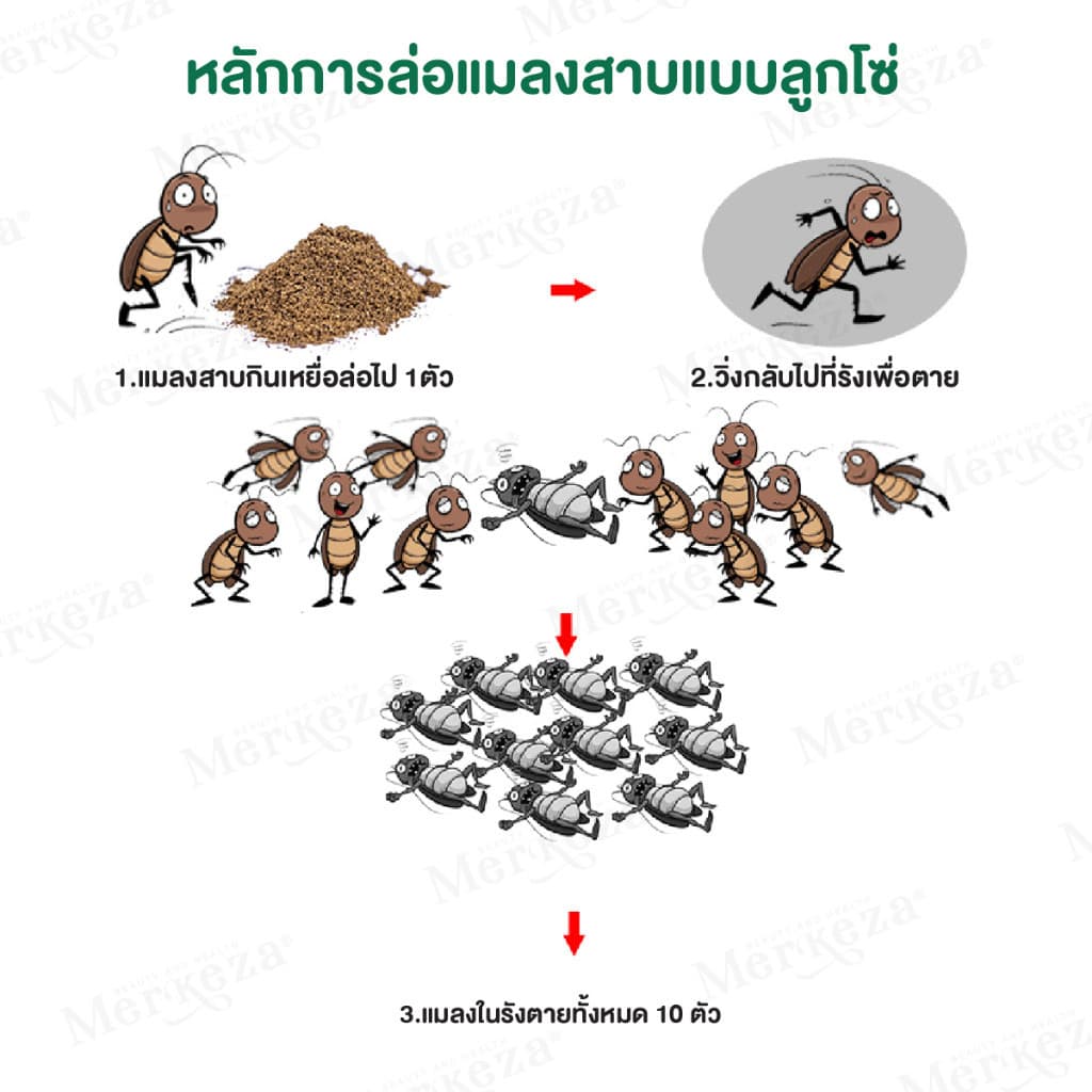 ยาฆ่าแมลงสาบ ผงเหยื่อฆ่า กำจัดแมลงสาบ ไล่แมลงสาบ ตายยกรัง ฆ่ายกรัง ฆ่าแมลงสาบ ใช้ได้กับภายนอกและภายในบ้าน รูปที่ 5