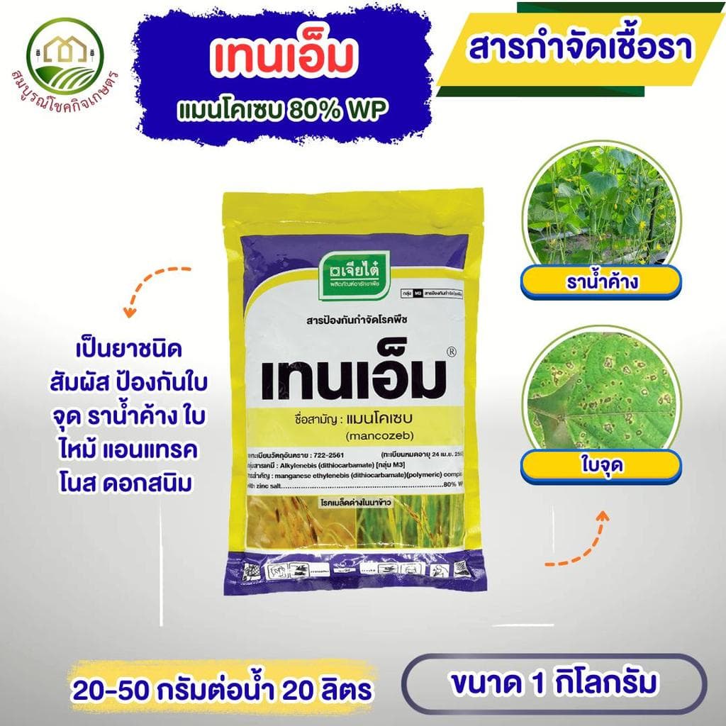 เทนเอ็ม แมนโคเซบ ผงสีเหลือง​ ขนาด 1 กก​ เจียไต๋ สารกำจัดเชื้อรา ราน้ำค้าง ราในดิน ราดโคนกันเน่าได้ รูปที่ 1