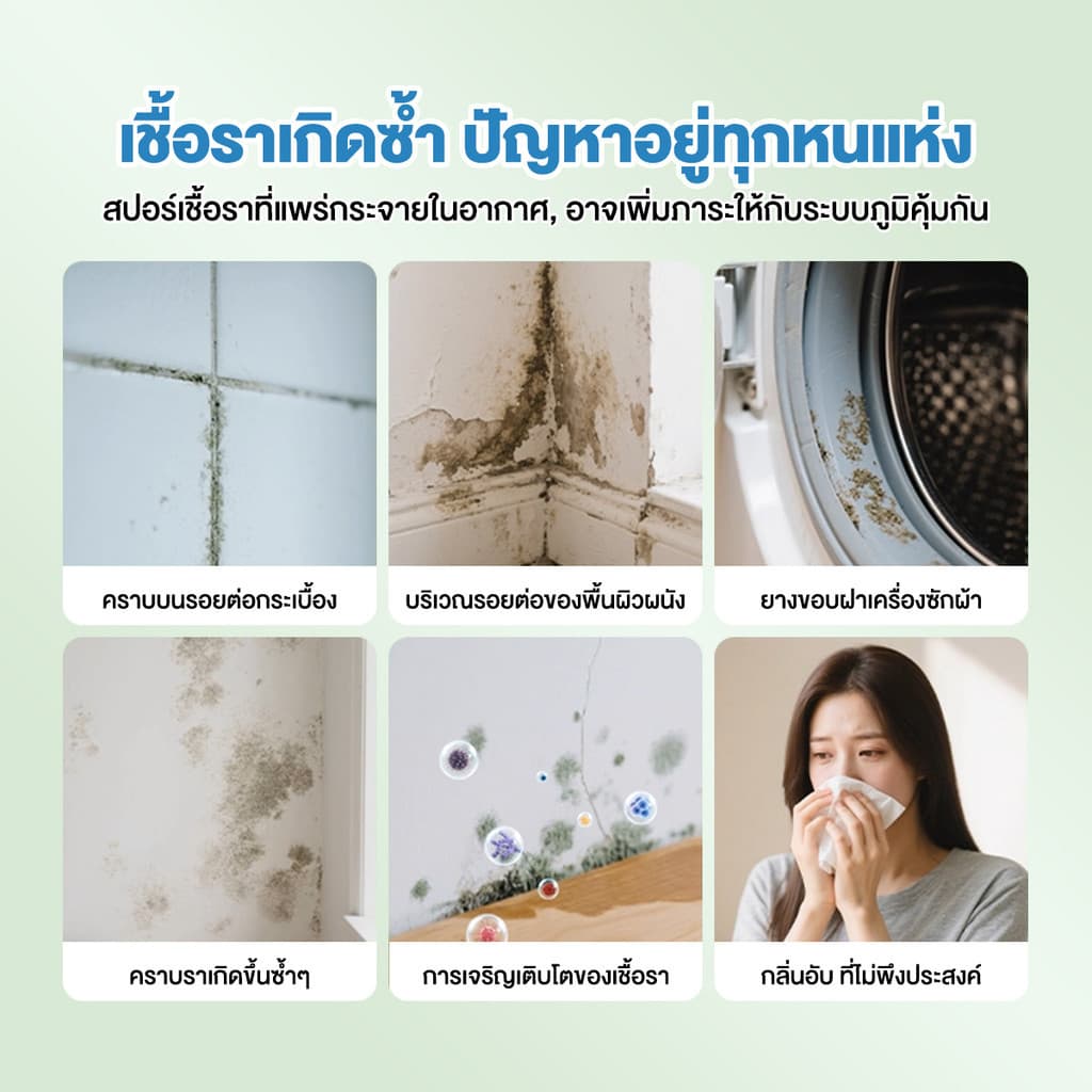 น้ำยาเช็ดเชื้อรา สเปรย์กำจัดเชื้อรา ฆ่าเชื้อรา ยับยั้งเชื้อรา ผนังไม่มีความเสียหาย ขจัดกลิ่นอับได้ รูปที่ 3