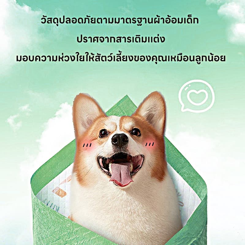YTL ส่งจากไทย แผ่นรองฉี่ แผ่นรองฉี่สุนัข ช่วยฝึกขับถ่าย ซึมซับได้ดี ต่อต้านแบคทีเรีย กักเก็บกลิ่น รูปที่ 4