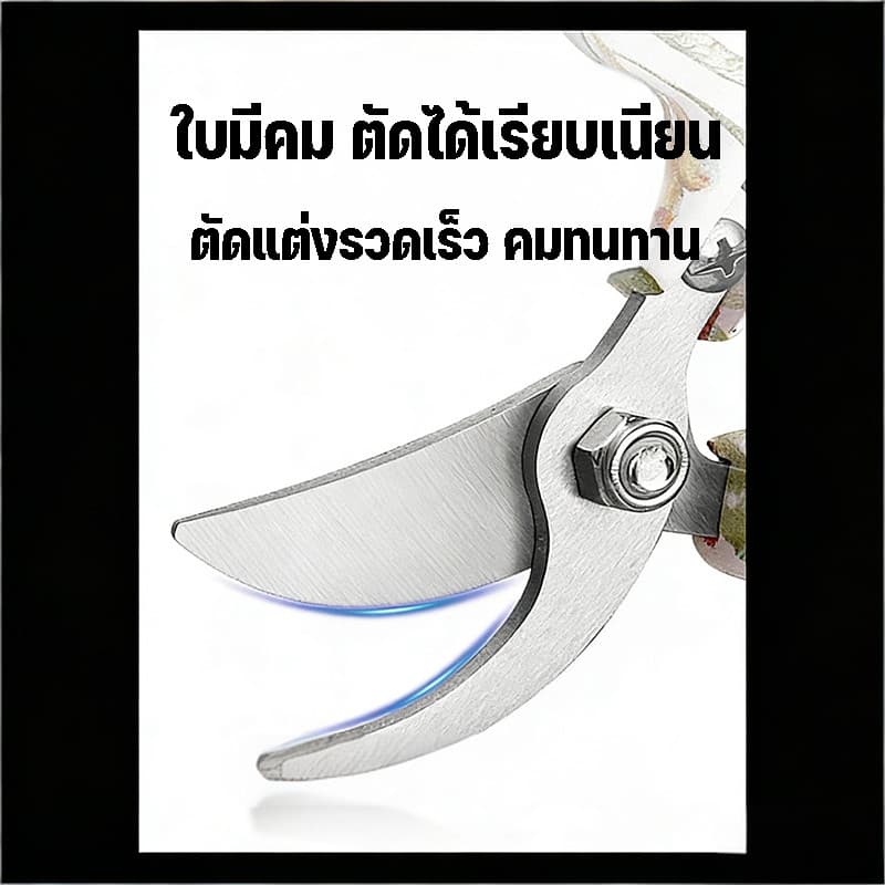 กรรไกรตัดกิ่งไม้ SK5 สแตนเลส คมพิเศษ ทนทาน กรรไกรตัดโลหะ แต่งกิ่ง กรรไกรทำสวน อุปกรณ์จัดสวน รูปที่ 4