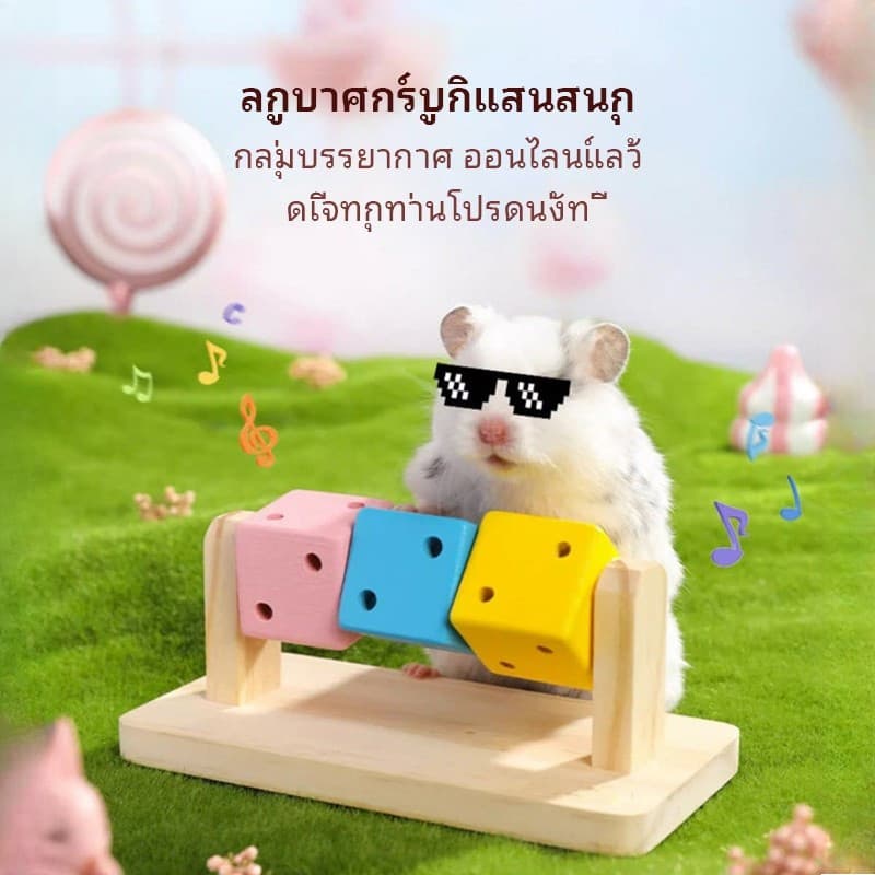 ของเล่นหนูแฮมสเตอร์ ลูกบาศก์รูบิกแสนสนุก ของเล่นดีเจเพื่อการผ่อนคลายและความบันเทิง ของเล่นเสริมการเรียนรู้ที่หลากหลายและสามารถเคี้ยวได้สำหรับหนูแฮมสเตอร์สีทองและหนูแฟนซี รูปที่ 3