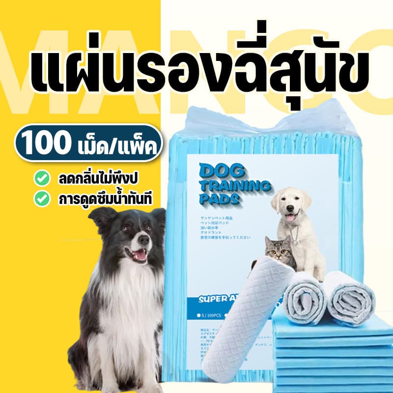 Mango แผ่นรองฉี่สุนัข แผ่นรองฉี่น้องหมา น้องแมว ช่วยฝึกขับถ่ายสุนัขและสัตว์เลี้ยง บ๊อกด็อก และ จิจิโกะ ดูดซับกลิ่น รูปที่ 1