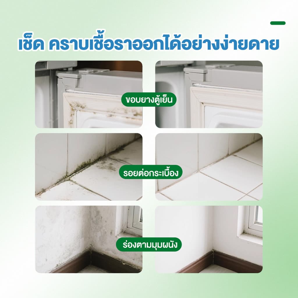 น้ำยาเช็ดเชื้อรา สเปรย์กำจัดเชื้อรา ฆ่าเชื้อรา ยับยั้งเชื้อรา ผนังไม่มีความเสียหาย ขจัดกลิ่นอับได้ รูปที่ 8