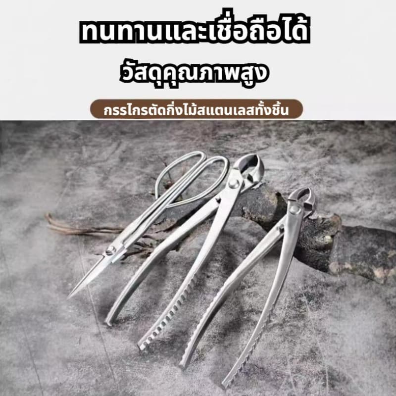 สแตนเลสบอนไซกรรไกรสวนดอกไม้พืชใบตารอบคีมตัดแต่งกิ่งเครื่องมือตัดแต่งกิ่งผลไม้ต้นไม้สร้างกรรไกร คีมปากนกแก้ว คีมท้องเรือ รูปที่ 2