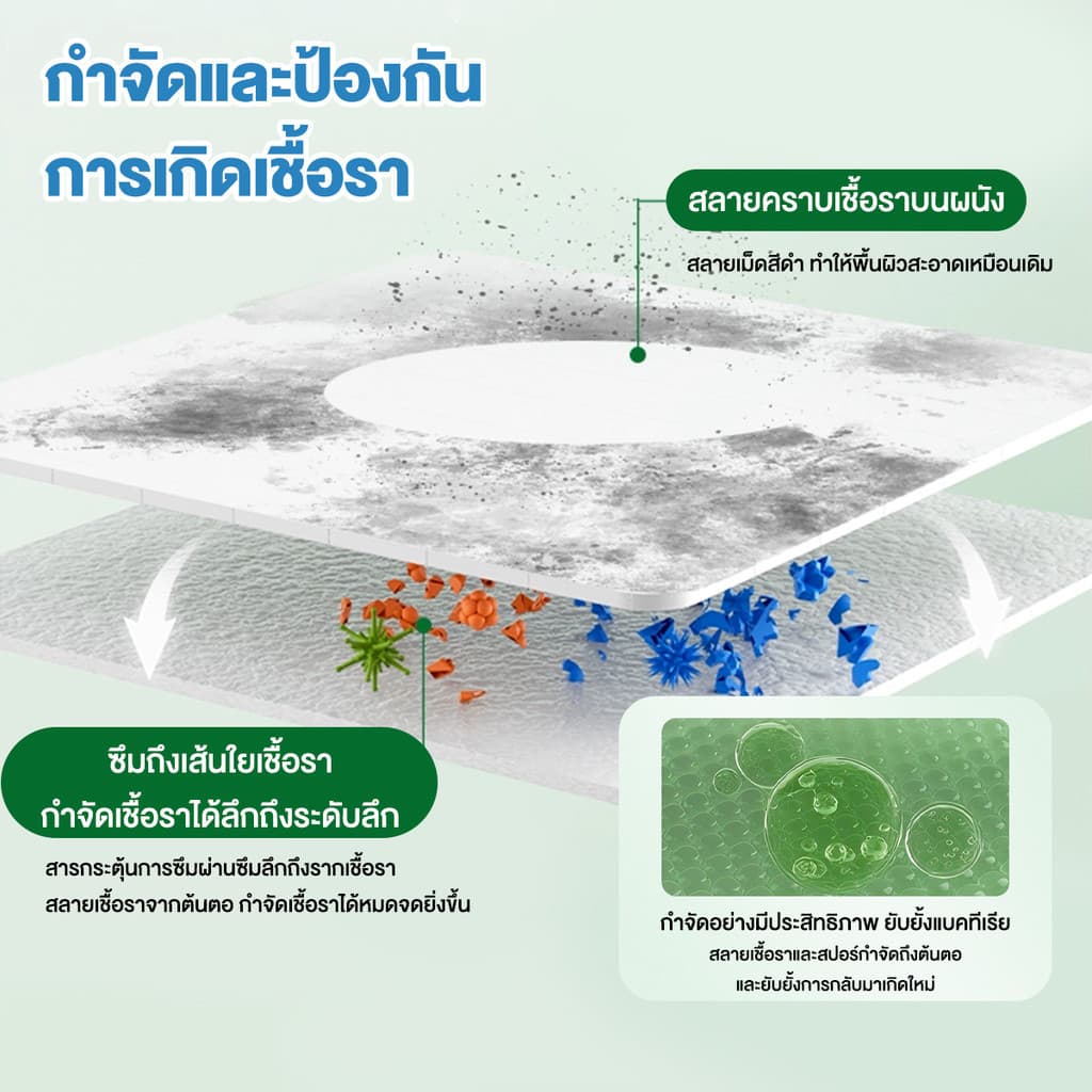 น้ำยาเช็ดเชื้อรา สเปรย์กำจัดเชื้อรา ฆ่าเชื้อรา ยับยั้งเชื้อรา ผนังไม่มีความเสียหาย ขจัดกลิ่นอับได้ รูปที่ 6