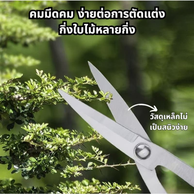 สแตนเลสบอนไซกรรไกรสวนดอกไม้พืชใบตารอบคีมตัดแต่งกิ่งเครื่องมือตัดแต่งกิ่งผลไม้ต้นไม้สร้างกรรไกร คีมปากนกแก้ว คีมท้องเรือ รูปที่ 7