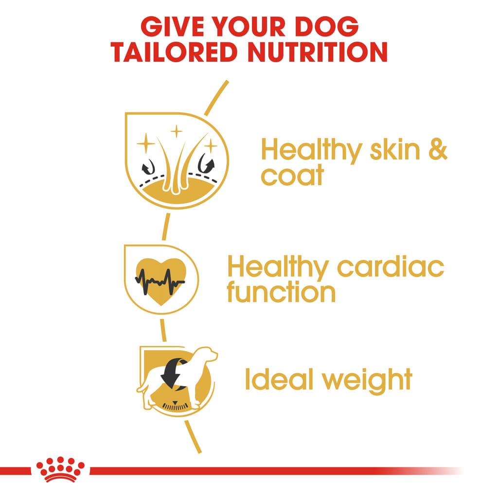 Royal Canin Adult Golden Retriever อาหารเม็ด สุนัขโต พันธุ์โกลเด้น รีทรีฟเวอร์ ยกกระสอบ 12 Kg รูปที่ 4