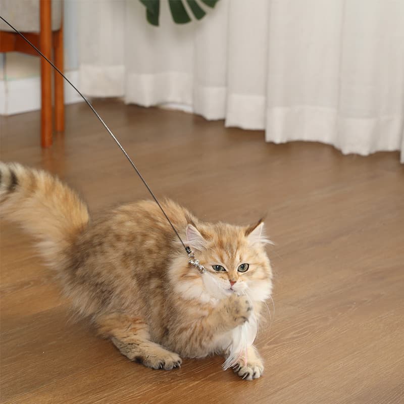 Doge&Orange ไม้ล่อแมว ไม้ตกแมว แบบติดพื้น ของเล่นสัตว์เลี้ยง เปลี่ยนหัวได้ มีกระดิ่ง PU215 รูปที่ 4