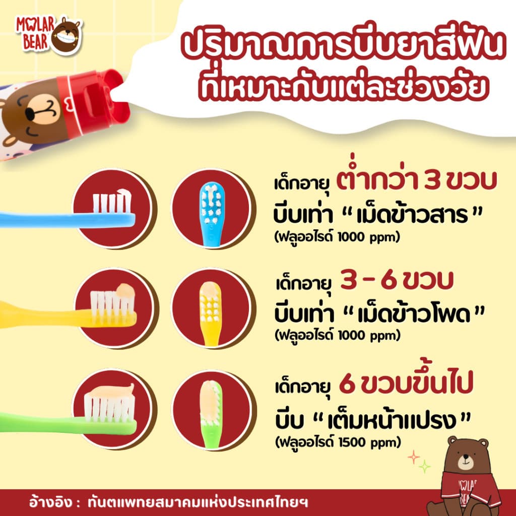 Mall Molar Bear 6 ขวบ+ ยาสีฟันเด็ก รุ่น Big Kids ฟลูออไรด์ 1500 ppm โมล่าร์แบร์ รูปที่ 6