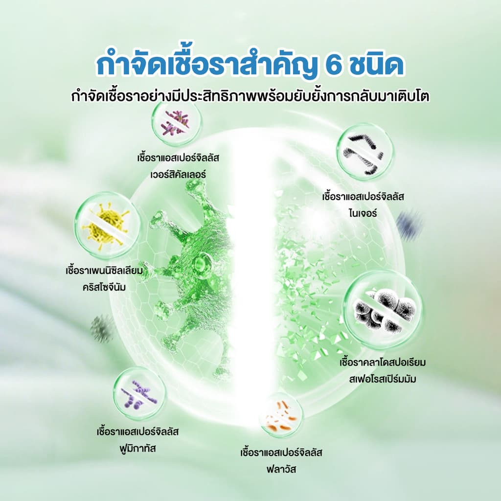 น้ำยาเช็ดเชื้อรา สเปรย์กำจัดเชื้อรา ฆ่าเชื้อรา ยับยั้งเชื้อรา ผนังไม่มีความเสียหาย ขจัดกลิ่นอับได้ รูปที่ 4