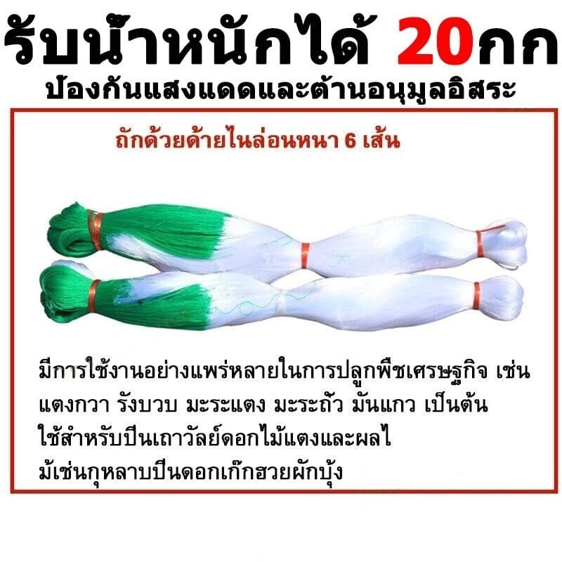 โครงไม้เลื้อย ตาข่ายไนลอน 2x100 ม. สำหรับปลูกแตงกวา ตาข่ายปลูกผัก อุปกรณ์ทำสวน ทนทาน รูปที่ 2