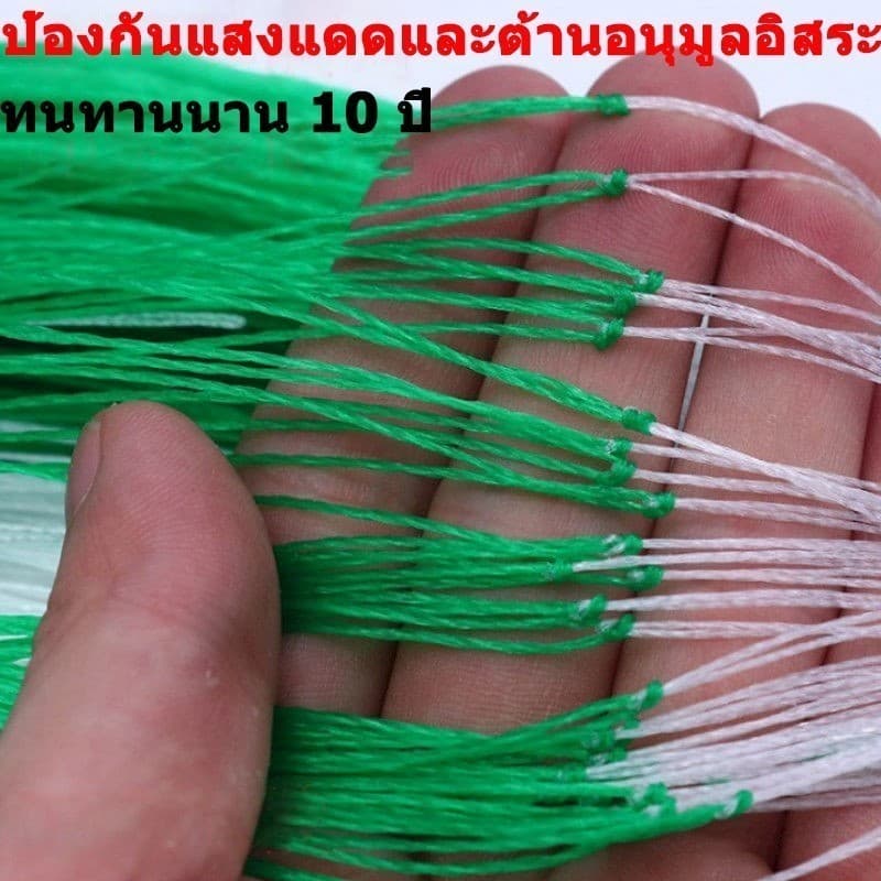 โครงไม้เลื้อย ตาข่ายไนลอน 2x100 ม. สำหรับปลูกแตงกวา ตาข่ายปลูกผัก อุปกรณ์ทำสวน ทนทาน รูปที่ 4