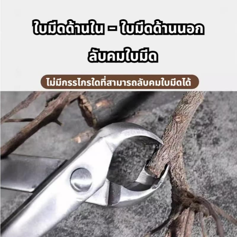 สแตนเลสบอนไซกรรไกรสวนดอกไม้พืชใบตารอบคีมตัดแต่งกิ่งเครื่องมือตัดแต่งกิ่งผลไม้ต้นไม้สร้างกรรไกร คีมปากนกแก้ว คีมท้องเรือ รูปที่ 3