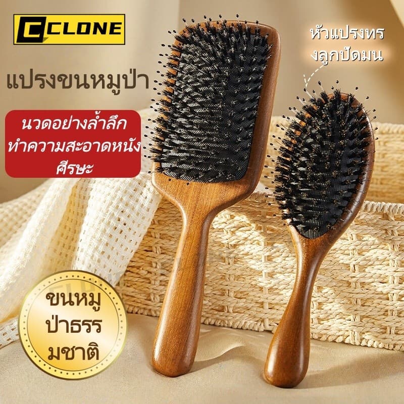 แปรงหวีผมขนหมูป่าธรรมชาติ ด้ามไม้จันทน์สีทอง ช่วยให้ผมเรียบลื่น ลดไฟฟ้าสถิต และนวดหนังศีรษะ รูปที่ 1