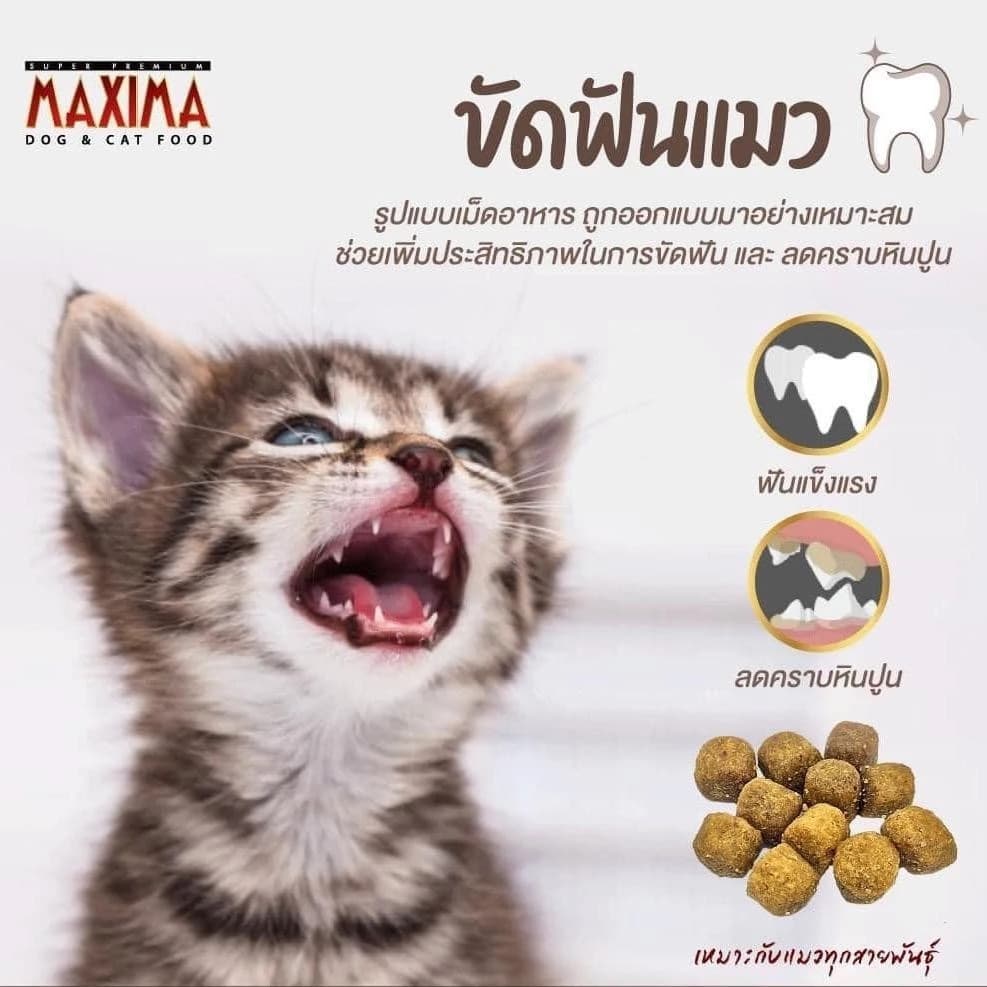 อาหารแมวเม็ด Maxima แม็กซิม่า - รสแกะ ขนาด 1 กิโลกรัม รูปที่ 4