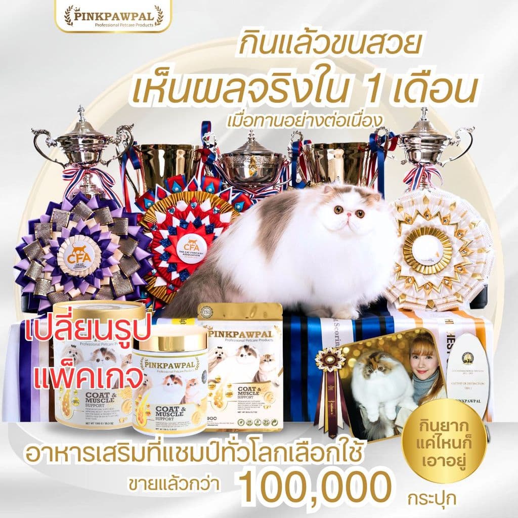 PINKPAWPAL ผงโปรตีน เสริมภูมิคุ้มกัน บำรุงขน เพิ่มน้ำหนัก เพิ่มกล้ามเนื้อหมาแมว รูปที่ 3