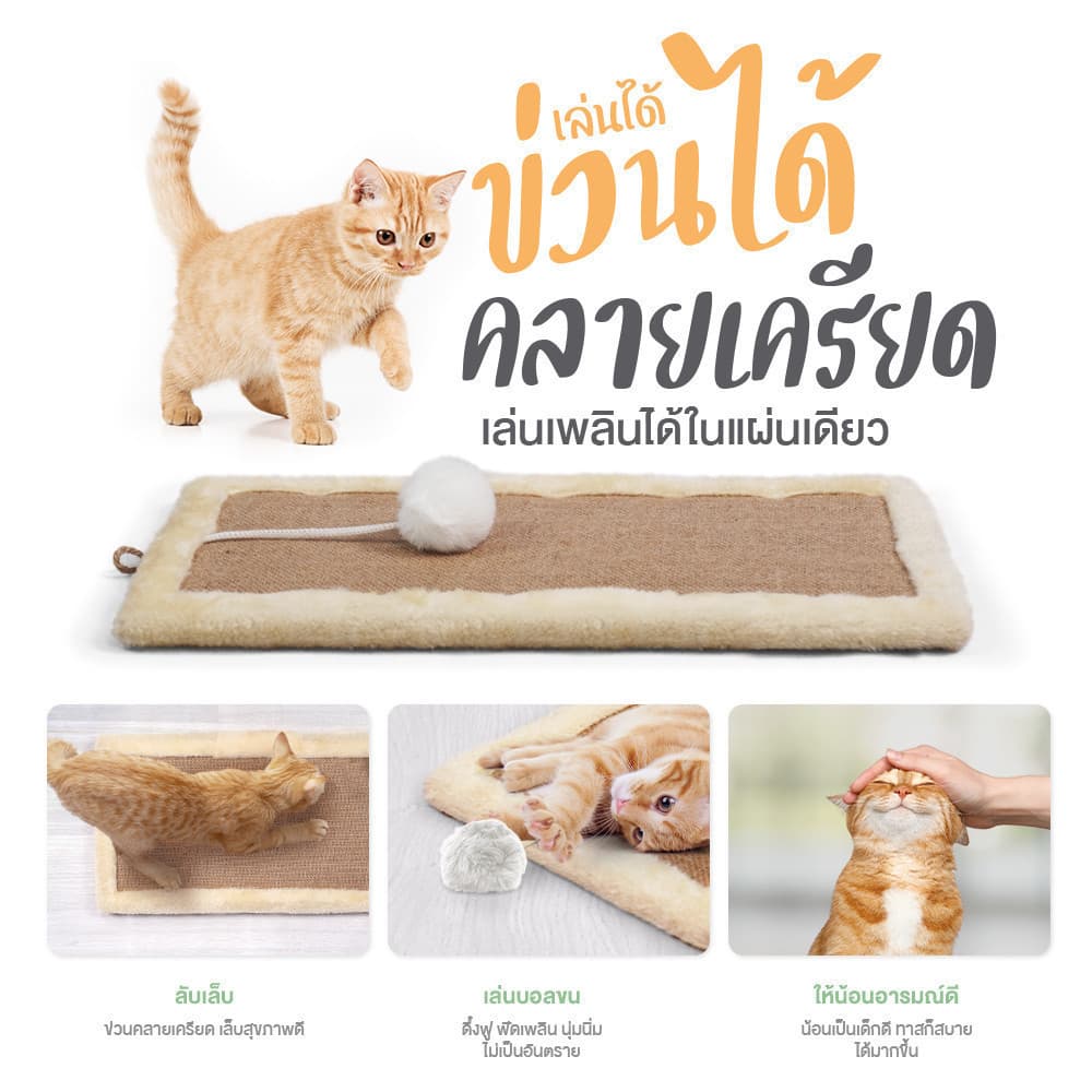 SiamLatex ที่ลับเล็บแมว รุ่น PawPaw ที่ฝนเล็บแมว กระดานลับเล็บแมว ช่วยลับเล็บน้องแมว รูปที่ 2
