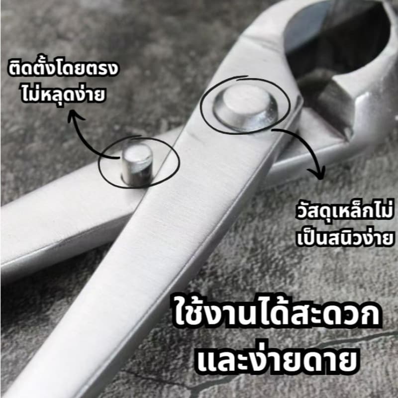 สแตนเลสบอนไซกรรไกรสวนดอกไม้พืชใบตารอบคีมตัดแต่งกิ่งเครื่องมือตัดแต่งกิ่งผลไม้ต้นไม้สร้างกรรไกร คีมปากนกแก้ว คีมท้องเรือ รูปที่ 5