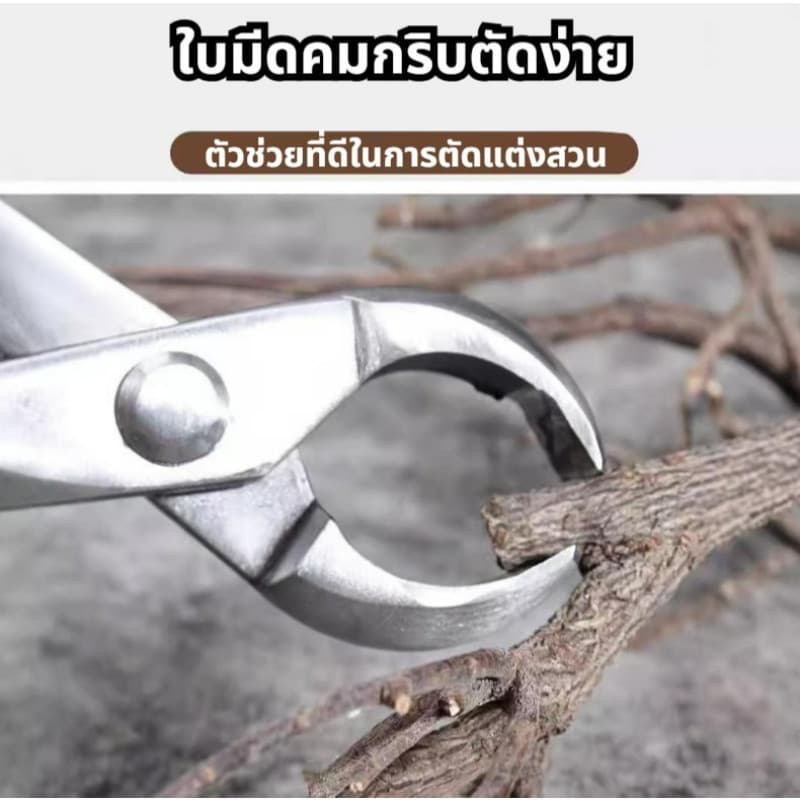สแตนเลสบอนไซกรรไกรสวนดอกไม้พืชใบตารอบคีมตัดแต่งกิ่งเครื่องมือตัดแต่งกิ่งผลไม้ต้นไม้สร้างกรรไกร คีมปากนกแก้ว คีมท้องเรือ รูปที่ 4