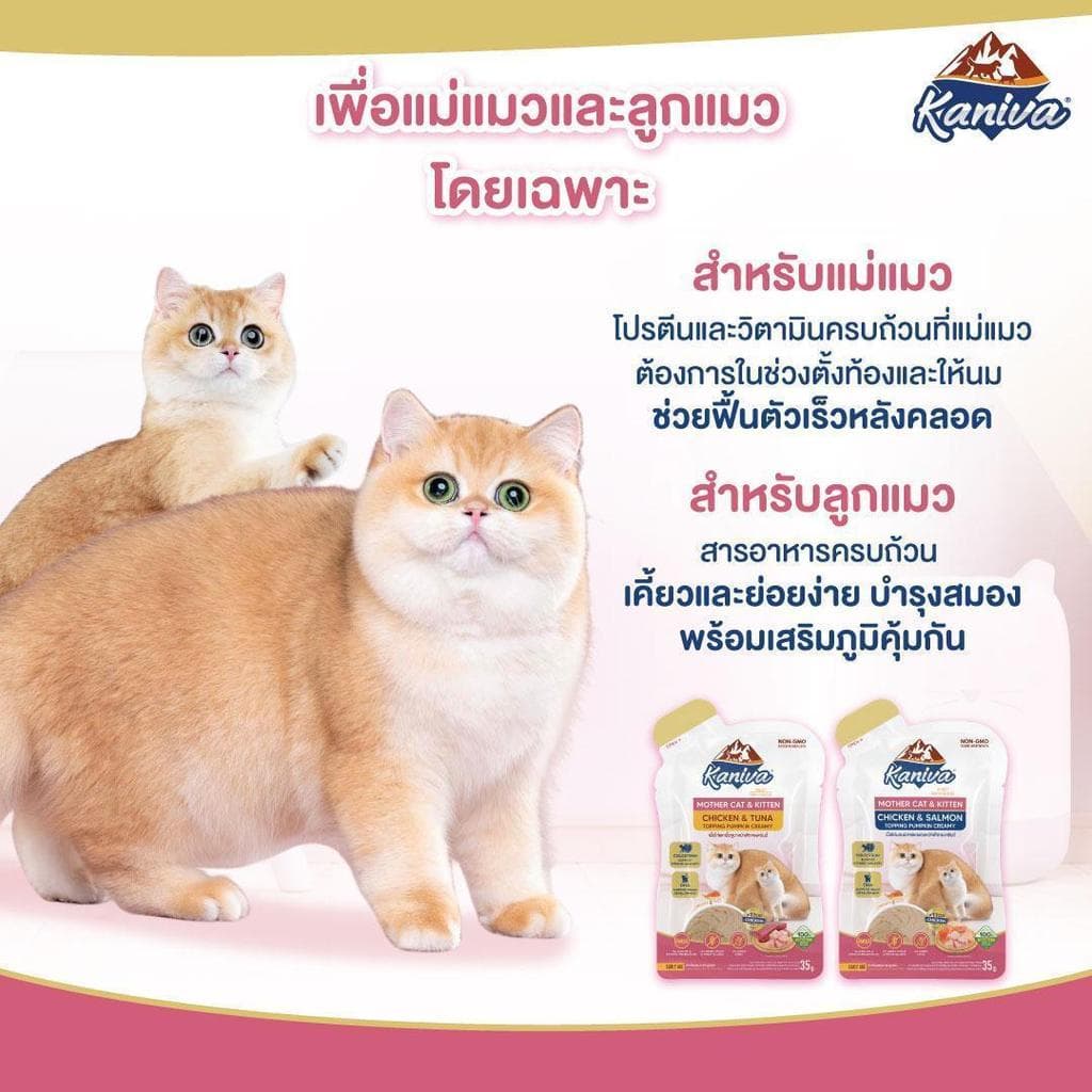 ใหม่! Kaniva Mother Cat & Kitten อาหารเปียกสำหรับแม่แมวและลูกแมว แบบซอง ขนาด 35 กรัม รูปที่ 4