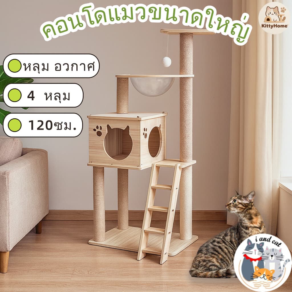 คอนโดแมวไม้ มินิมอล สูง120ซม แคปซูลใส ปีนเล่น ลับเล็บ ที่นอนได้ แถมของเล่น รูปที่ 2