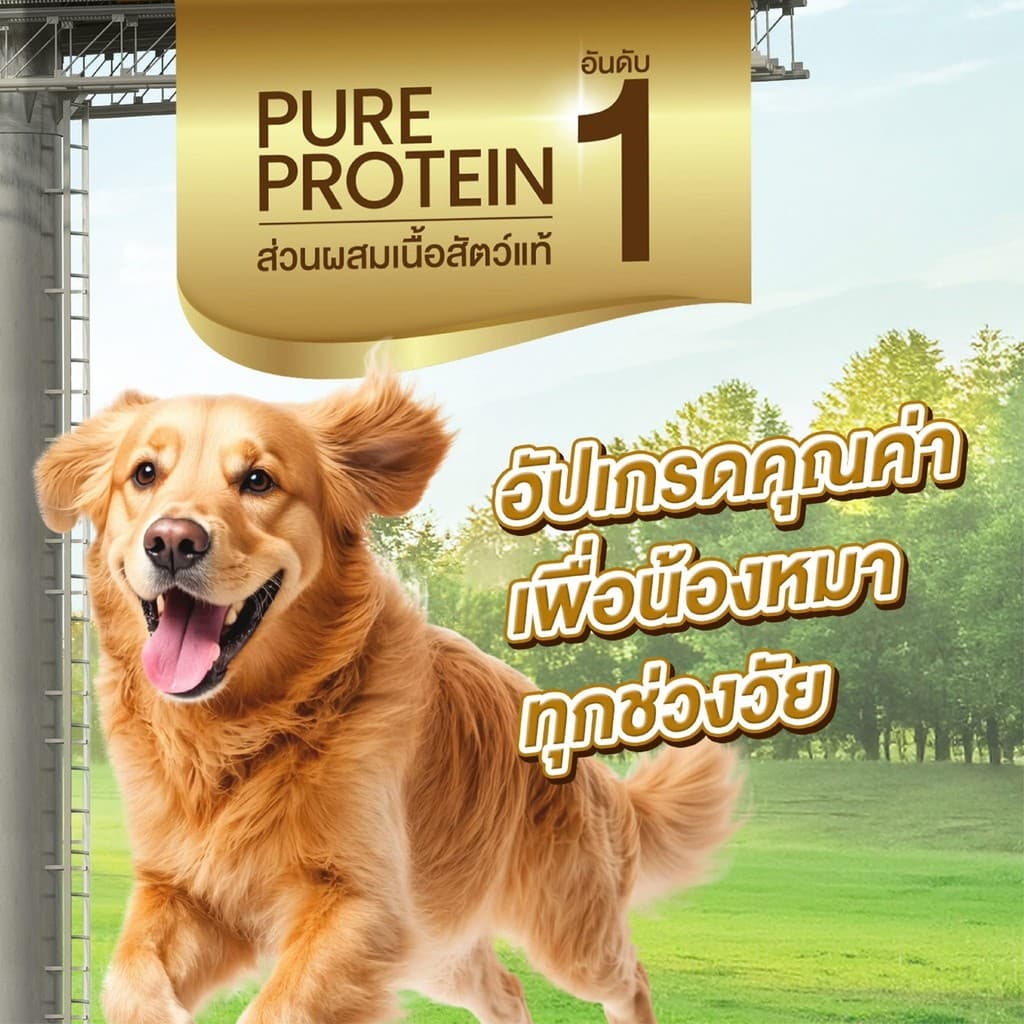 DOG n joy Complete อาหารเม็ดสำหรับสุนัข ขนาด 3 Kg. รูปที่ 9