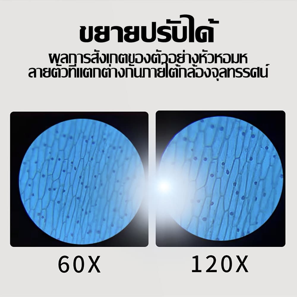 กล้องจุลทรรศน์เด็ก พกพา 60-120X มีไฟส่อง ของเล่นวิทยาศาสตร์ รูปที่ 5