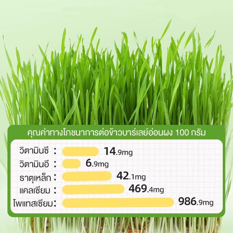 อาหารว่างสำหรับสัตว์เลี้ยง แบบแช่แข็ง เม็ดหญ้าแมว เนื้อไก่ อาหารเสริมโภชนาการสำหรับแมว ผสมกับอาหารหลัก รูปที่ 3