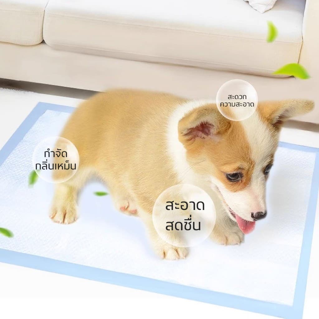 Mango แผ่นรองฉี่สุนัข แผ่นรองฉี่น้องหมา น้องแมว ช่วยฝึกขับถ่ายสุนัขและสัตว์เลี้ยง บ๊อกด็อก และ จิจิโกะ ดูดซับกลิ่น รูปที่ 7
