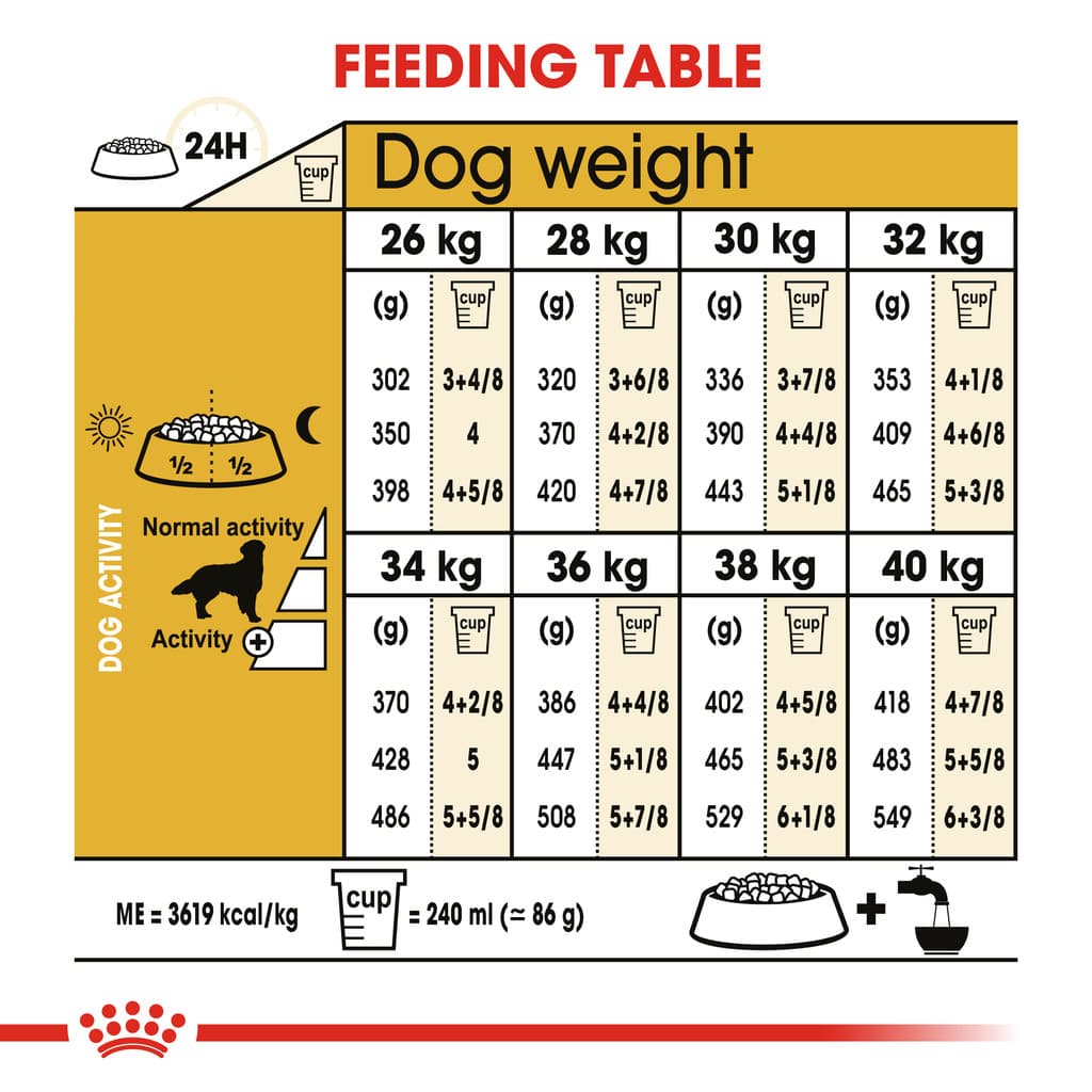 Royal Canin Adult Golden Retriever อาหารเม็ด สุนัขโต พันธุ์โกลเด้น รีทรีฟเวอร์ ยกกระสอบ 12 Kg รูปที่ 6