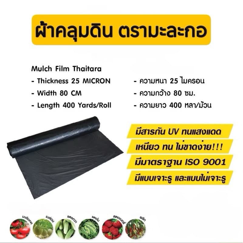 จัดส่งรวดเร็วพลาสติกคลุมดิน ผ้ายางคลุมดิน 400หลา พลาสติกคลุมแปลง พลาสติกดำเงิน กันวัชพืช ปลูกผัก รูปที่ 5