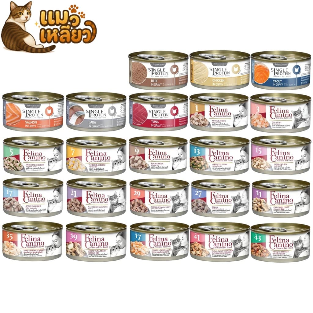Felina Canino Single Protein อาหารเปียกแมว เนื้อเน้นๆ ไม่เติมเกลือ เปียกแมว ขนาด 70 กรัม รูปที่ 1
