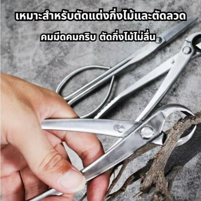 สแตนเลสบอนไซกรรไกรสวนดอกไม้พืชใบตารอบคีมตัดแต่งกิ่งเครื่องมือตัดแต่งกิ่งผลไม้ต้นไม้สร้างกรรไกร คีมปากนกแก้ว คีมท้องเรือ รูปที่ 6