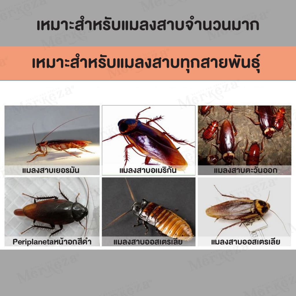 ยาฆ่าแมลงสาบ ผงเหยื่อฆ่า กำจัดแมลงสาบ ไล่แมลงสาบ ตายยกรัง ฆ่ายกรัง ฆ่าแมลงสาบ ใช้ได้กับภายนอกและภายในบ้าน รูปที่ 7